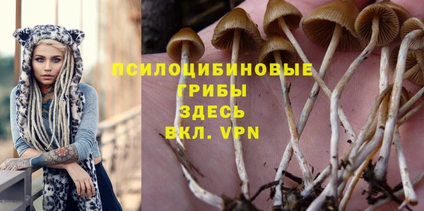 MESCALINE Кодинск