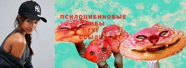 скорость Козельск