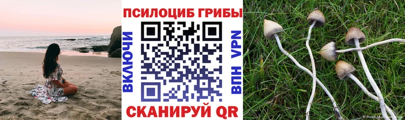 Галлюциногенные грибы мицелий  Купить где  Бикин 